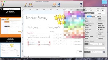 How to format web form input text field font style and colors using Touch Forms Pro for Mac