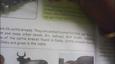 TERM III STD 5 SCIENCE LN:1 OUR ENVIRONMENT