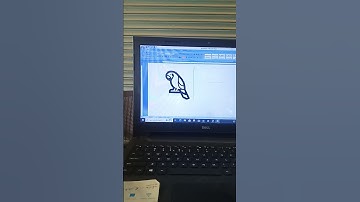 🦜 PARROT Ms words symbol shortcut key||#short #computer #tipsandtricks #keyboardshortcut
