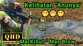 A New Swdany Spot A Rice Paddy That Had Been Submerged For Years