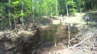 Flowriders Fahrradprofi Am Schrottkogel