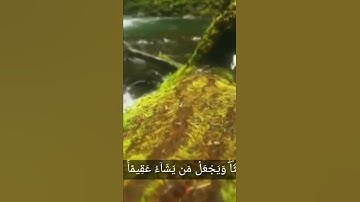 ما تيسر من سورة الشورى للقارئ عمر جابر