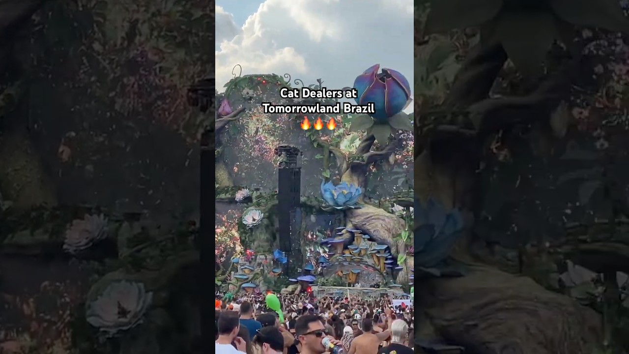 Бразильская выставка Tomorrowland превратилась в настоящую рейв-вечеринку с Cat Dealers 🤯