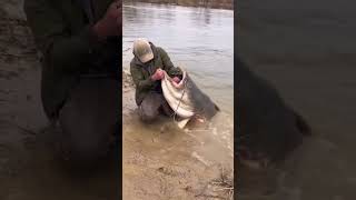 Monster Muskellunge Caught from Shore 😱🐟 Epic Fishing Moment!