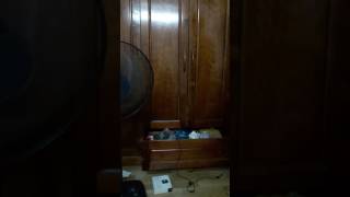 20161104(1)
