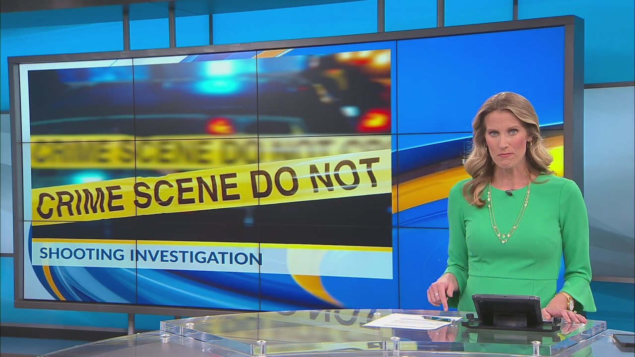 Florence County deputies investigate shooting in Olanta YouTube