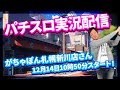 【実況配信】辻ヤスシのたまスロ☆168【 辻ヤスシ / #shorts 】