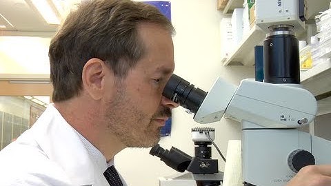 Where Your Money Goes: SU2C-PI3K Pathway Dream Team