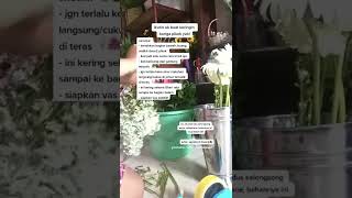 Mengeringkan Bunga Segar Menjadi Driedflower driedflowers florist tutorialbuket  bungakering