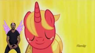 Big Macintosh transform into a alicorn thanks to Shia Labeouf