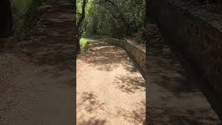 Botanical gardens Bloemfontein trails