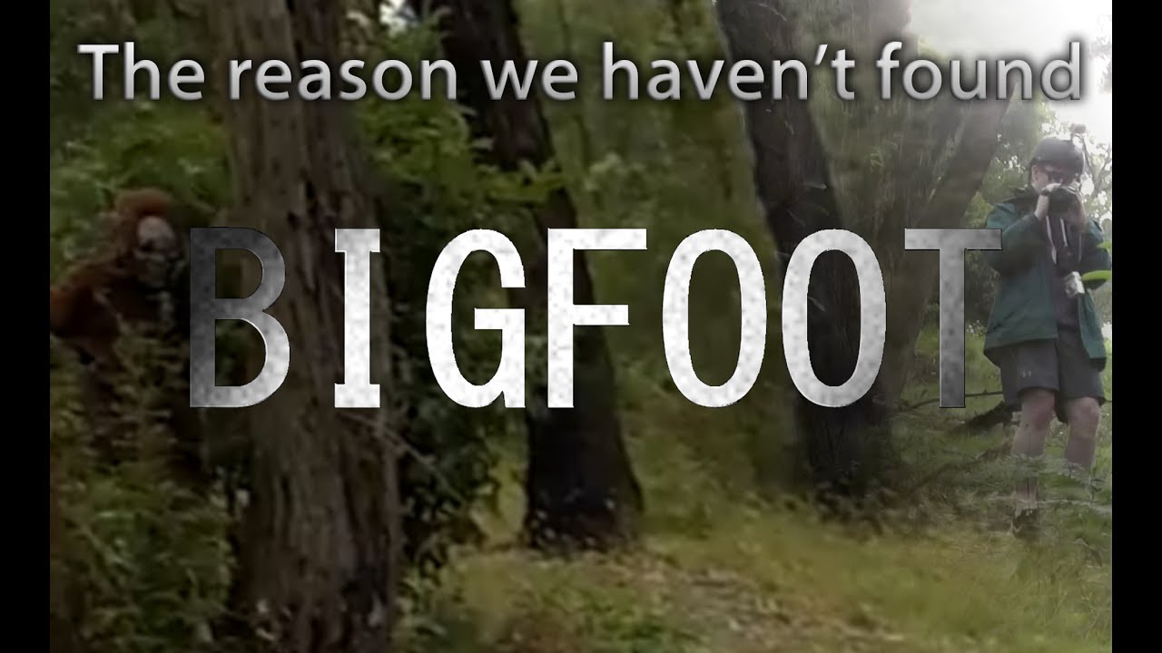 Why BIGFOOT Hasn't Been Found... Yet?