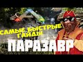 Ark survival evolved/Самые быстрые гайды/паразавр