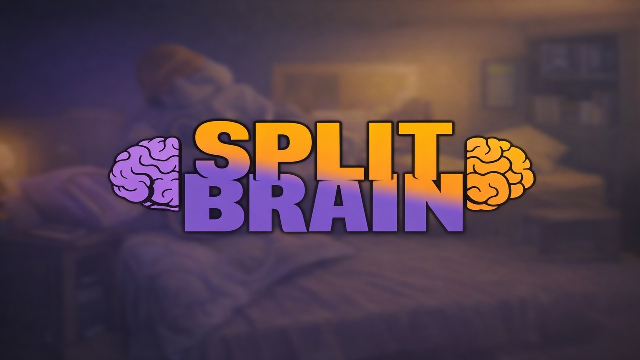 Du "links", ich "rechts", Unfall! | Split Brain - YouTube