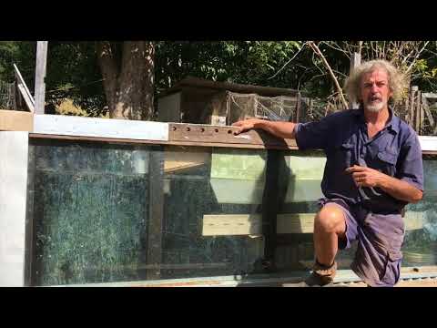 Black Soldier Fly Larvae Farm: What, How & Why with Tom Kendall