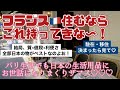 [フランス・パリ生活]にマストで持ってきたい日本のもの（生活用品編）～パリ駐在・移住応援動画、猫動画多めｗ意外といらないもの、旅行者でも夏に気を付けたほうがいいことの話も