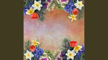 Uplifting Ambiance for Midsummer Notes