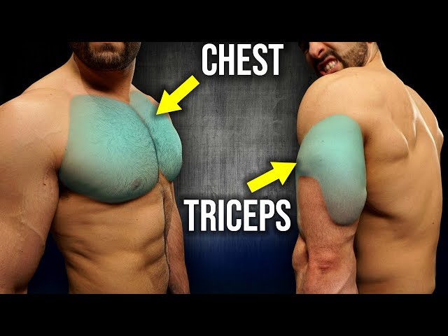 Full Chest And Triceps Workout