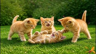 🌼🐈 Happy Kittens Jumping & Exploring the Garden – Relaxing Cat Sounds Compilation