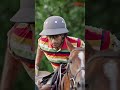 Nothing compares to the feeling of playing polo.