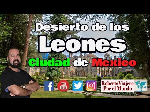 Asi es el Desierto de los Leones en Ciudad de México. - YouTube