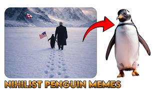 The REAL Reason Nihilist Penguin Memes Are TRENDING!