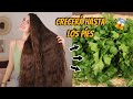 CRECE EL CABELLO 5 VECES MÁS RÁPIDO Y NO SE CAE CON SÓLO 3 INGREDIENTES!