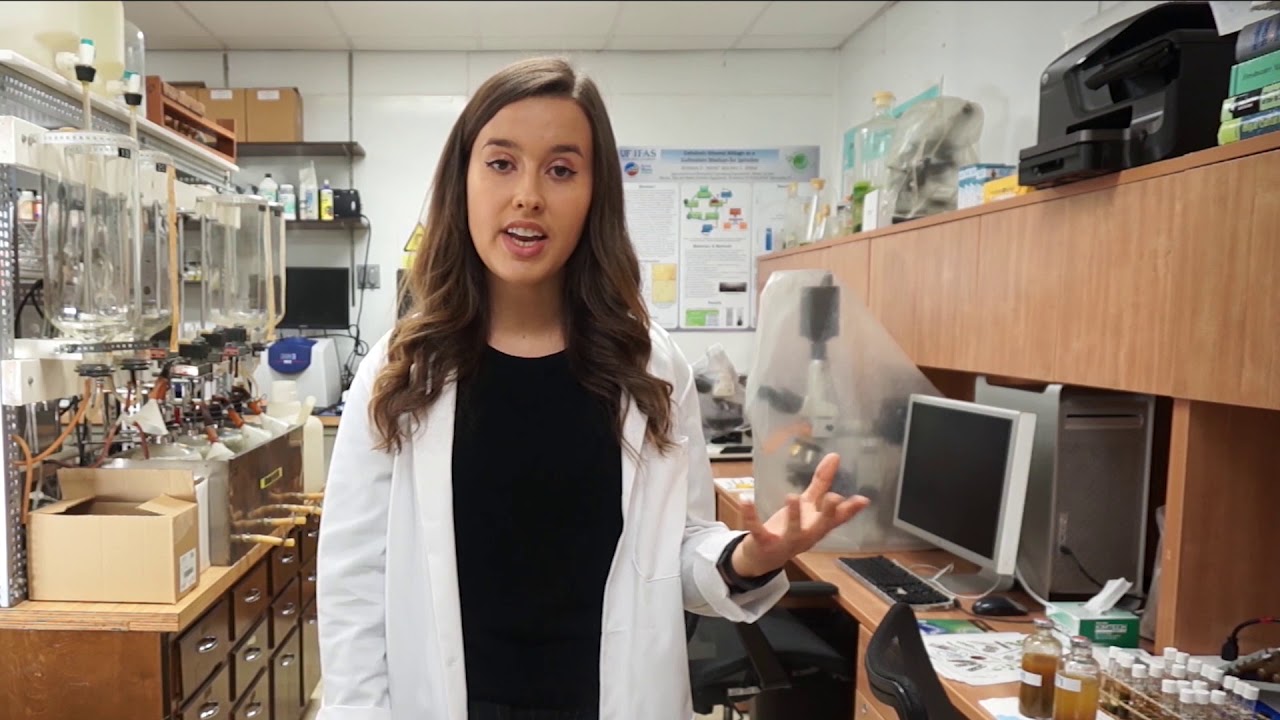 Rebecca O'Connell: Cultivation of Filamentous Algae