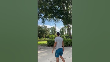 Dad and dog play fetch with the ball #shorts