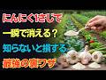 【農薬不要】にんにく1さじで害虫一掃!10秒で効く安全スプレーと失敗しない使い方