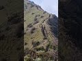 ADVENTURE OF THE BEST FRIEND FOREVER