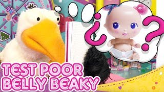 Learn The Language Of The Bellies Will Belly-Beaky P The Exam?