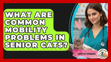 What Are Common Mobility Problems In Senior Cats? - Happy Cat Handbook