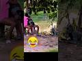 funny video reaction #hobbi #shortsfeed #subscribe #funny #youtube