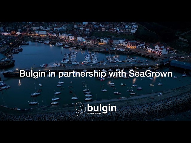 Inside Seagrown: Growing a Better Future for Our Oceans | Bulgin
