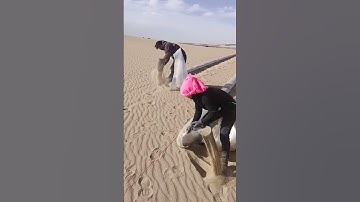 A Simple and Effective Way to Control Sand – Fillable Sleeve