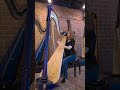 a BLUE pedal harp!!