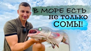 Рыбалка на КРАСНОДАРСКОМ ВОДОХРАНИЛИЩЕ