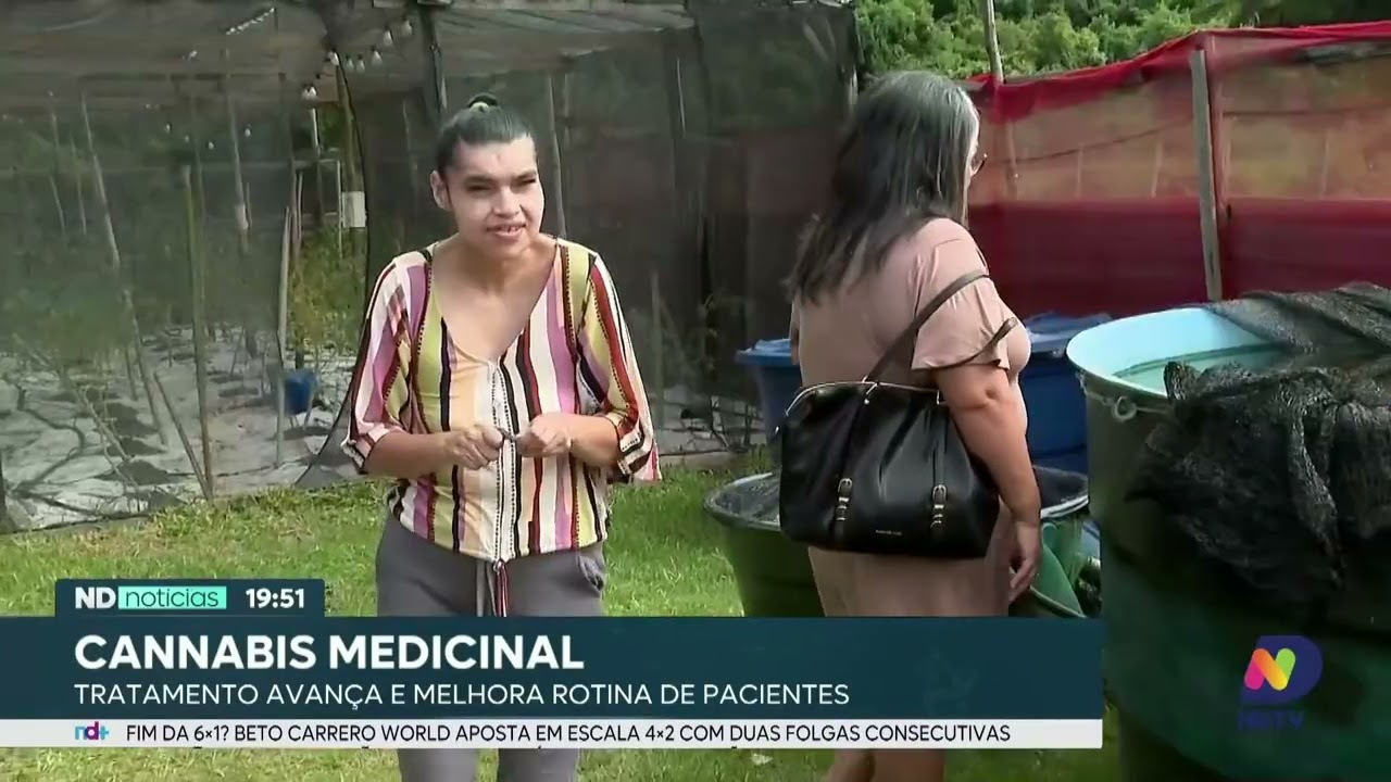 Cannabis medicinal avança e melhora qualidade de vida de pacientes