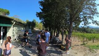 Sortie De La Cave A Vin