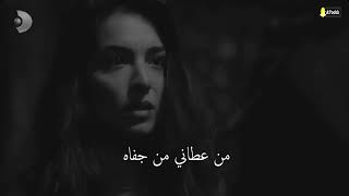 خذاني الحب .. نغمة وتر