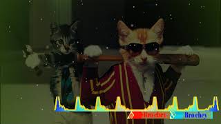 Do lt like​ A truck dj​ ars remix(Aaron sz)​