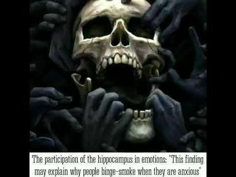 Fear factor: Fears of people, anxiety and emotions of a person. Spend the night without fear
