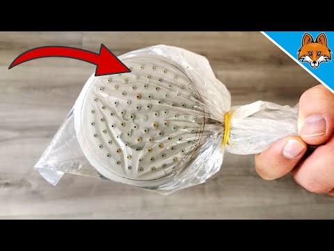 THIS is why you should put your Shower Head in a BAG 💥