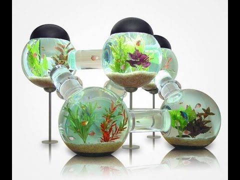 Menakjubkan Aquarium  Unik  dan kreatif YouTube