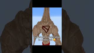 Superman in Minecraft (Minecraft Building)