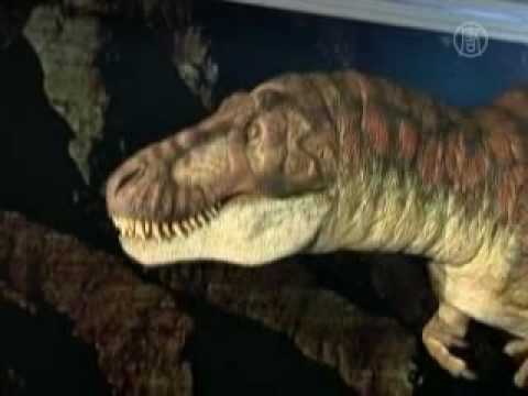 Pameran Fosil Dinosaurus di Taiwan