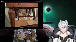 Identity V Tuesday!!! | Comfy Wolf stream 🐺🐺