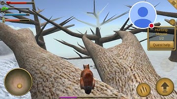 Squirrel simulator game play