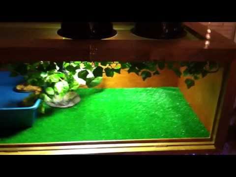 feeders grain DIY wooden reptile cage